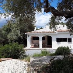 Lilly - Lovely small Villa among Olive Trees