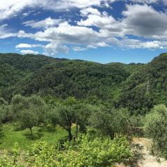 Caddelovi