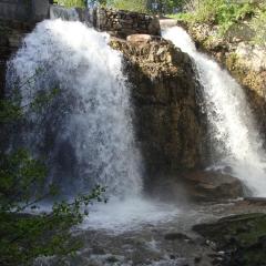 The Falls Inn - Walter Falls