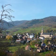 Gîte Schlitteur Et Sapiniere