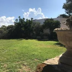 Casa Kalos