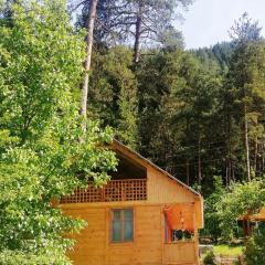 Guest House Ilia