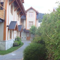 Acojedor departamento 1 dormitorios Céntrico