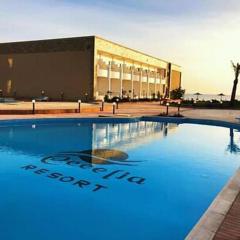 منتجع سيسليا ريزورت cecelia resort