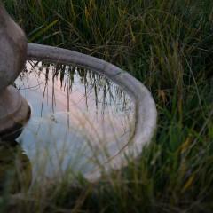 Silver Linings Cottage