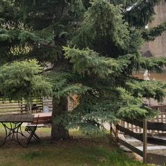 L ' Y chalet Vauban