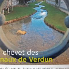 au chevet des canaux de verdun