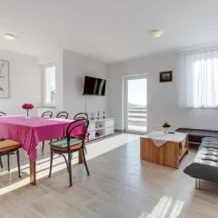 Apartment Mikic