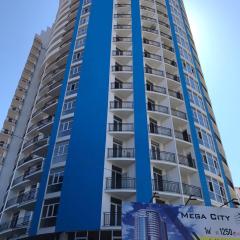 DAVIT’S APARTMENT. АПАРТАМЕНТЫ ДАВИТА