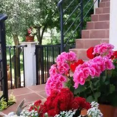 Apartment Ankica