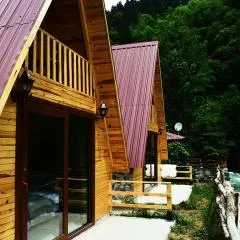 FOGA BUNGALOV
