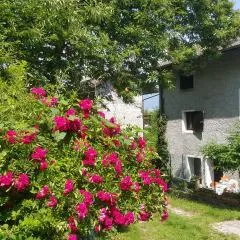 Casa Ronit