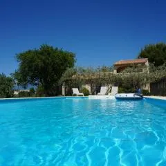 le Gecko en Provence