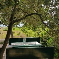 Family apartment Rita