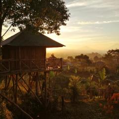 Bali Tree House Pelangi