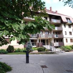 Apartament z pięknym widokiem Polanica Ogrodowa Wille Parkowe