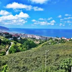 Paradise Villa Trabzon