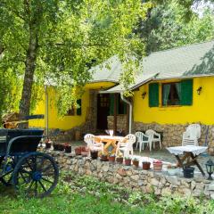 Yellow House by the river