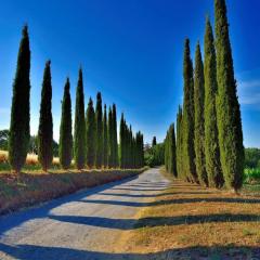 Agriturismo Boschetto di Montiano