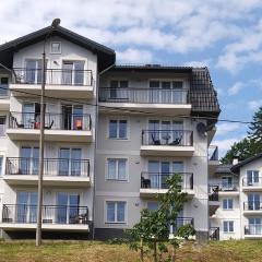 Apartamenty Amika