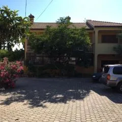 Apartment Dalmatini