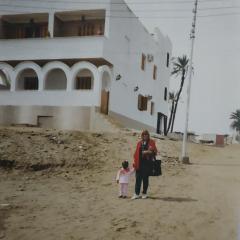 Adad Noubian House