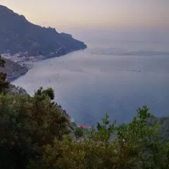 Giuliana's View
