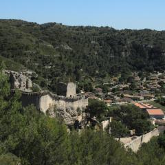 Les lavandes de Sèverine