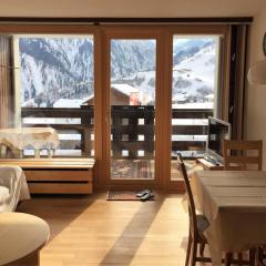 Disentis mountain view