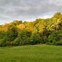 Altenbrauch Farm - Camping in the Hocking Hills