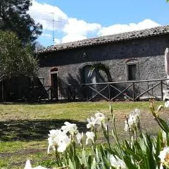 POGGIO ROSETO