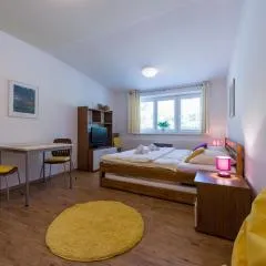 Apartmán Lipno 20