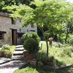 Studio in Casalfiumanese near Vena del Gesso