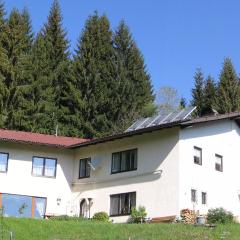 Ferienhaus Hollinger