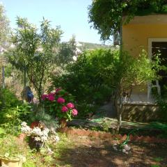 Lefkas house with garden