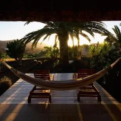 Finca Arbequina