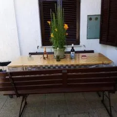 Apartments Placovici