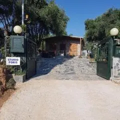 Studio Foris