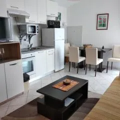 Apartment Hana