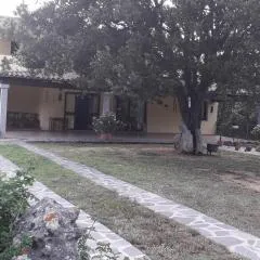 Agriturismo La Tuva