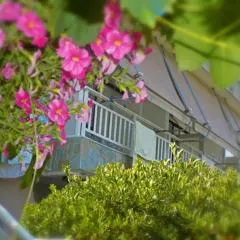 DIALEKTI STUDIOS