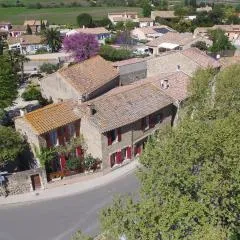 Au jardin d'Amphora