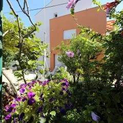 Apartments Ivanov