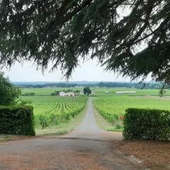 A L'OMBRE DE LA TREILLE -Proche Saint-Emilion