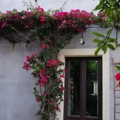 Il Melograno dell'Etna