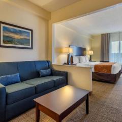 Comfort Suites Gastonia - Charlotte