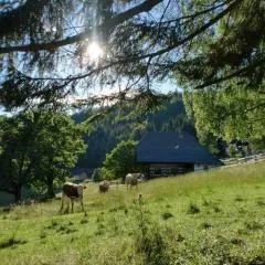 Tschetsch Hütte