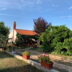 Holiday Home Villa le punte