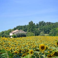 LE PIUME B&B