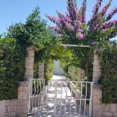 Apartman LUCIJA